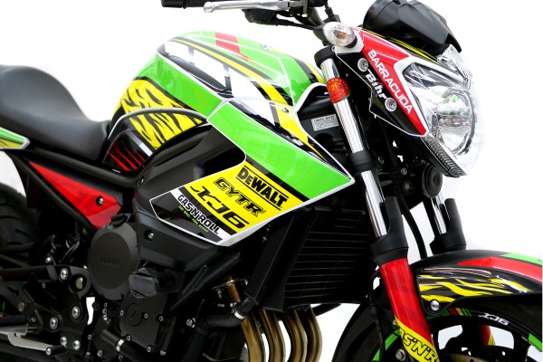 Kit adhesivos moto Yamaha XJ6 Lion